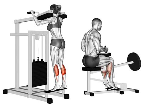 best sets and reps for calf raises